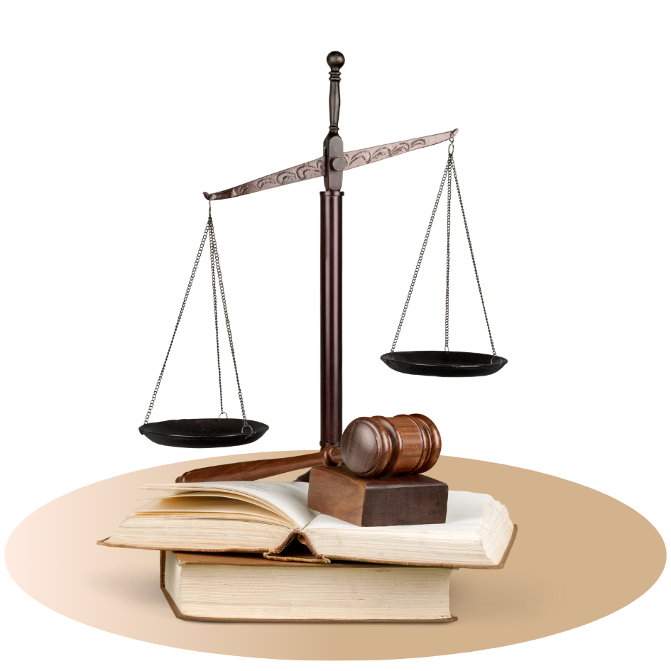 Адвокат Анелия Шопова